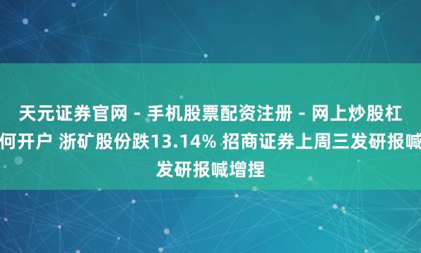 天元证券官网 - 手机股票配资注册 - 网上炒股杠杆如何开户 浙矿股份跌13.14% 招商证券上周三发研报喊增捏