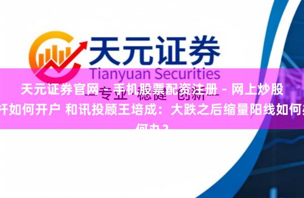 天元证券官网 - 手机股票配资注册 - 网上炒股杠杆如何开户 和讯投顾王培成：大跌之后缩量阳线如何办？