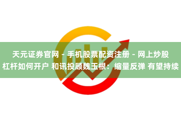 天元证券官网 - 手机股票配资注册 - 网上炒股杠杆如何开户 和讯投顾魏玉根：缩量反弹 有望持续